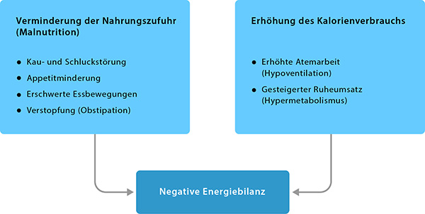 Faktoren einer negativen Energiebilanz bei der ALS